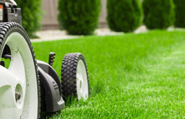 Lawn Services to Keep Your Lawn Looking Great
